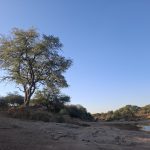 IMG-20250623-WA0363